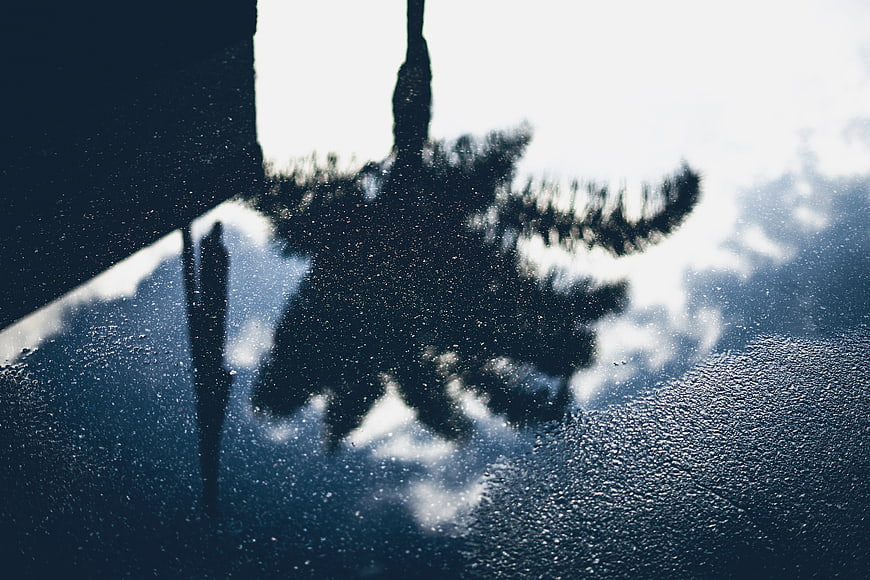 Abstract Reflection of Trees and Sky in Rainy Puddle