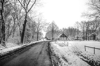Black and white winter road with snow-covered trees and house