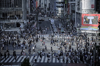 High angle view of crowded Shibuya crossing in Tokyo