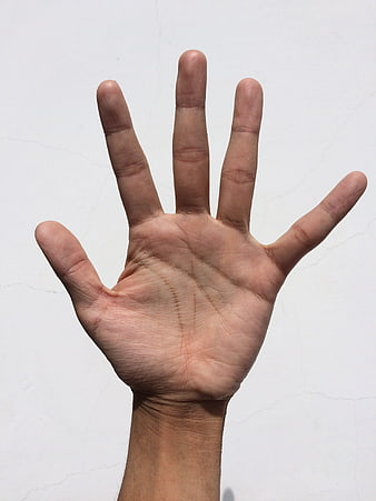 Close-up of open palm with five fingers against white background