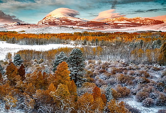 Snowy Mountain Landscape with Golden Autumn Forest