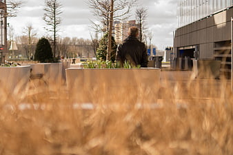 Man sitting on bench in urban plaza with blurred foreground