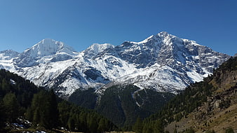 Majestic Snow-Capped Mountain Peaks with Forested Slopes
