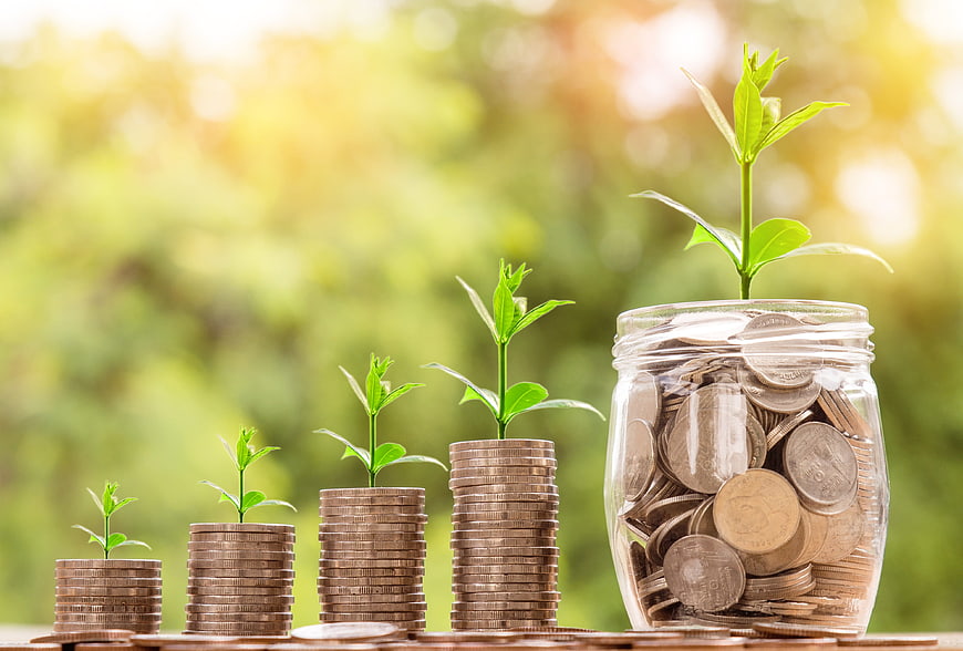 Growing Money Plant Concept with Coins and Savings Jar