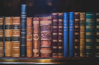 Vintage leather-bound books on a wooden shelf