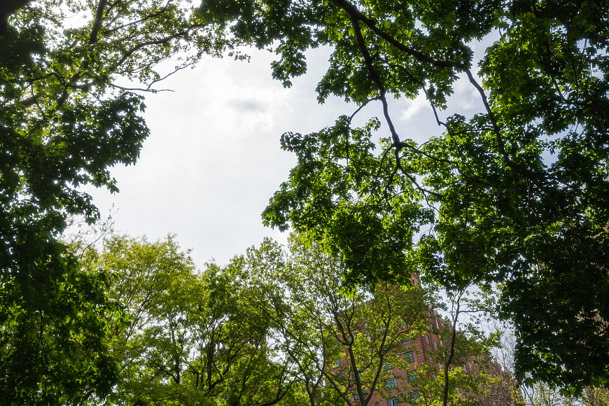 Low angle view of green trees and brick building against sky