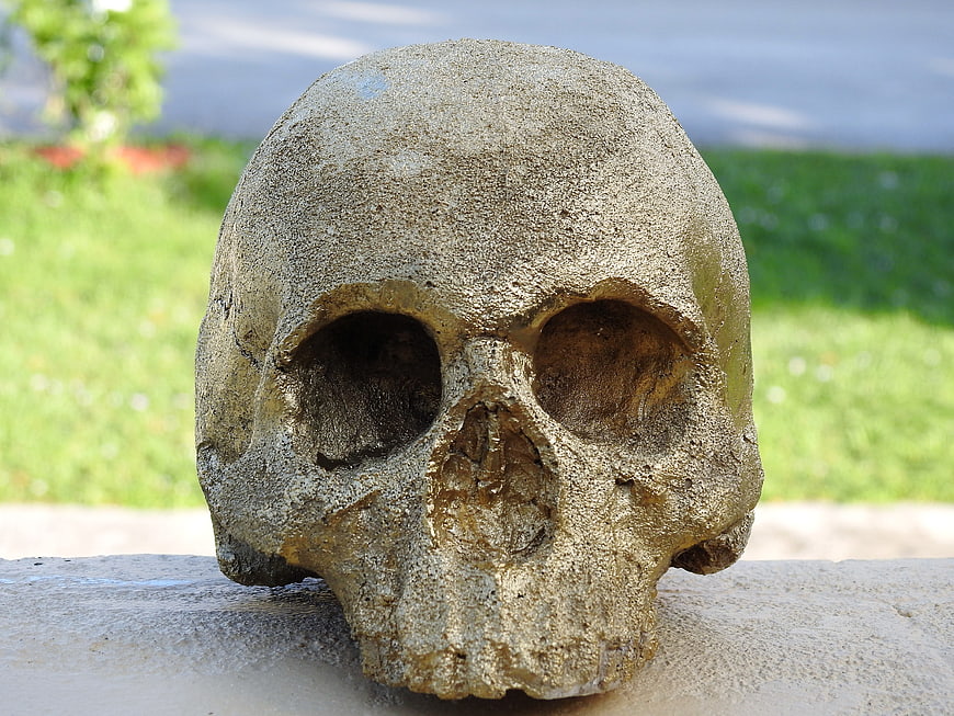 Weathered Stone Skull Sculpture on Concrete Ledge