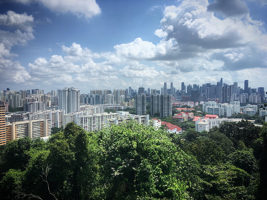 Singapore City Skyline View from Green Hilltop