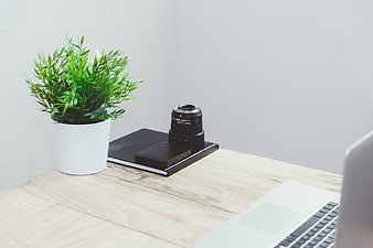 Minimalist Desk with Camera Lens, Plant, and Laptop