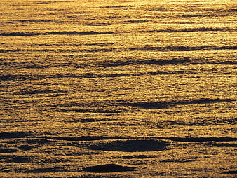 Golden sunlight reflecting on rippled snowfield texture