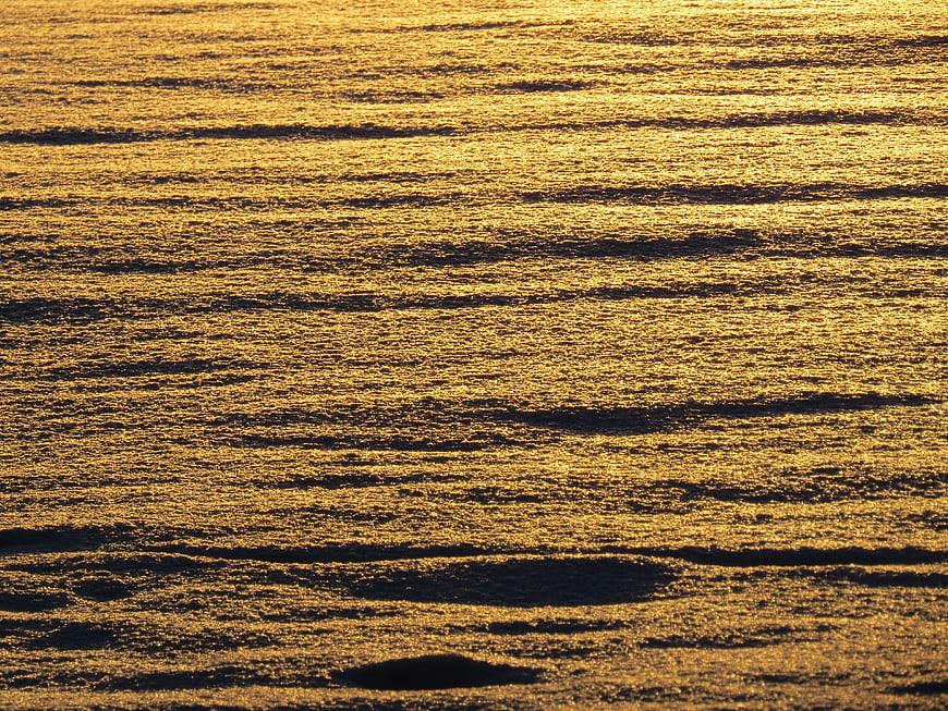 Golden sunlight reflecting on rippled snowfield texture