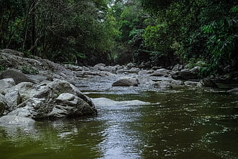 Serene River Flowing Through Rocky Forest Landscape