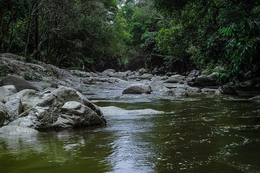 Serene River Flowing Through Rocky Forest Landscape