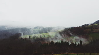Misty Green Hills and Forested Mountains in Fog