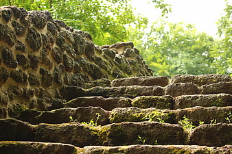 Mossy stone staircase in a lush green forest