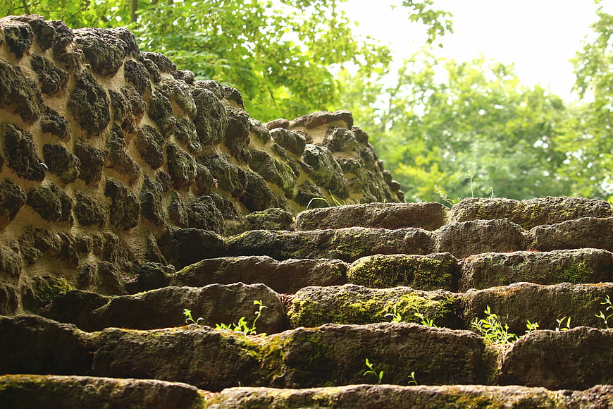 Mossy stone staircase in a lush green forest
