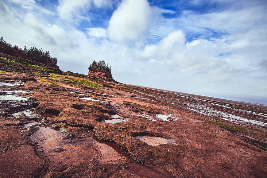 Red Rock Coastal Landscape at Low Tide