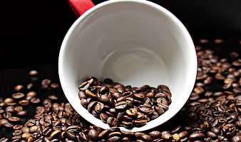 White Coffee Mug With Roasted Beans On Black Background