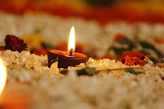 Traditional Indian Diya Oil Lamp Burning Amidst White Flower Petals