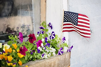 American Flag in Window Box with Colorful Petunias