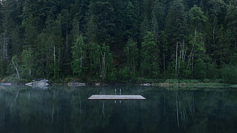 Serene wooden dock on calm lake surrounded by dark forest