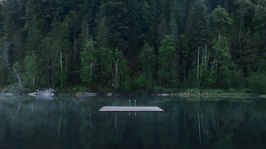 Serene wooden dock on calm lake surrounded by dark forest