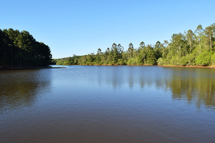 Serene Lake Surrounded by Lush Green Forest Under Blue Sky