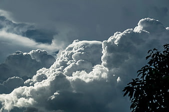 Dramatic Storm Clouds with Silhouetted Tree Leaves