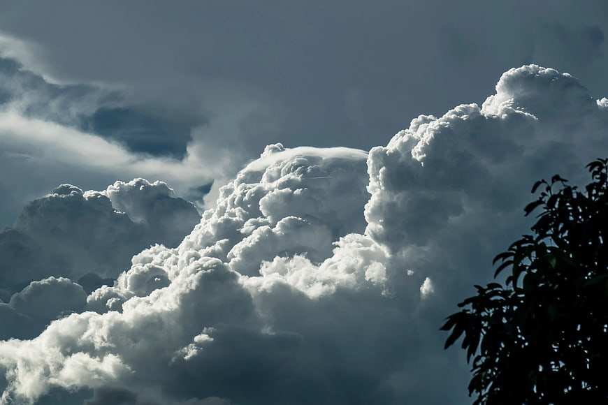 Dramatic Storm Clouds with Silhouetted Tree Leaves