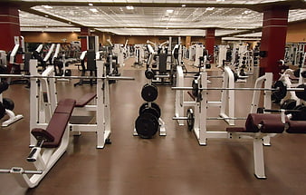 Empty gym interior with weight machines and free weights