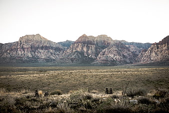 Vast desert landscape with rugged mountains and dry grass