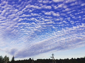 Altostratus clouds in blue sky over forest and utility poles