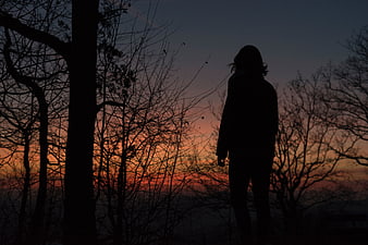 Silhouette of Person Standing in Forest at Sunset