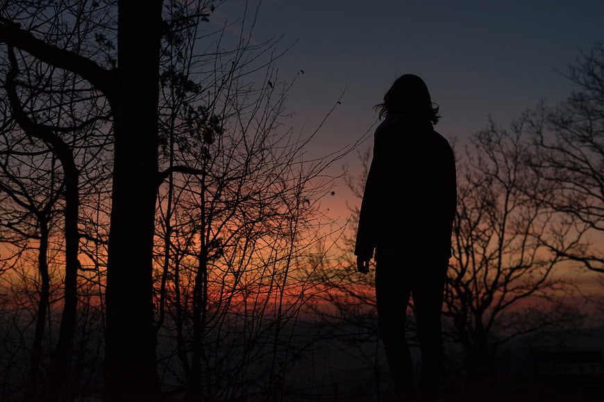 Silhouette of Person Standing in Forest at Sunset
