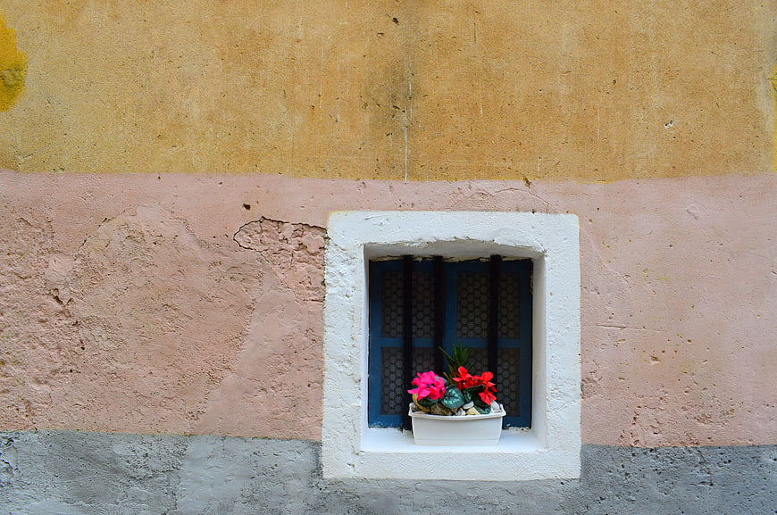 Colorful Window with Flowers on Textured Wall