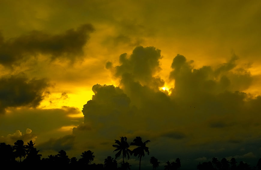 Dramatic golden sunset sky with silhouetted palm trees