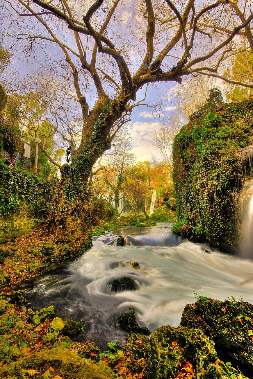 Autumn Waterfall and Mossy Rocks in a Lush Forest Landscape