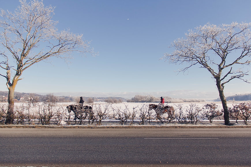 Horseback Riding in Snowy Winter Landscape with Frosty Trees
