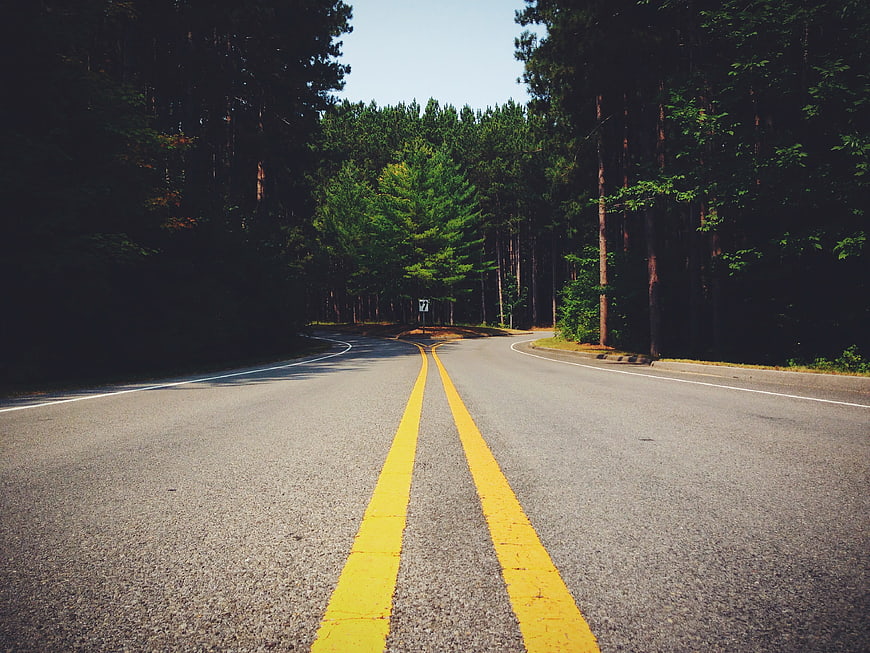 Asphalt road splitting into two paths through a forest