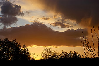 Dramatic Golden Sunset Sky with Silhouetted Trees