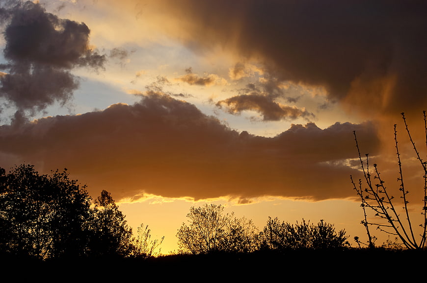 Dramatic Golden Sunset Sky with Silhouetted Trees