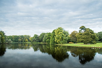 Serene lake in green park with tree reflections
