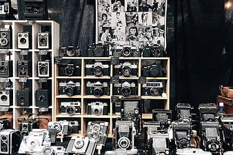 Vintage Camera Collection on Wooden Shelves