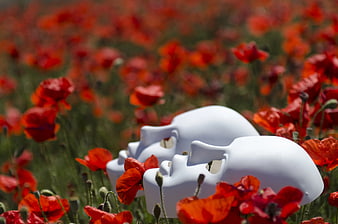 White theater masks in a field of red poppy flowers