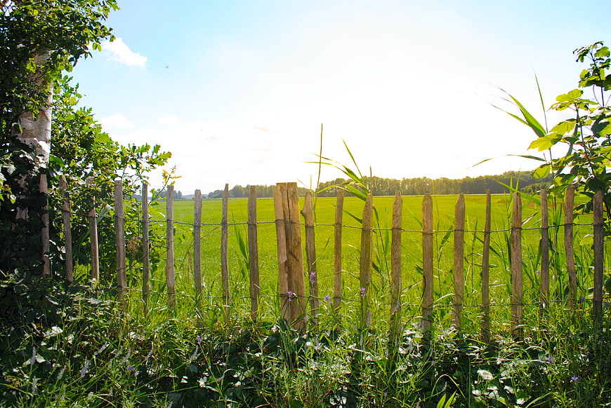 Rustic wooden fence bordering a lush green meadow