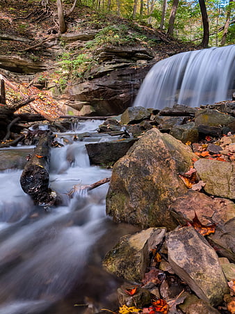 Long Exposure Waterfall in Autumn Forest Stream