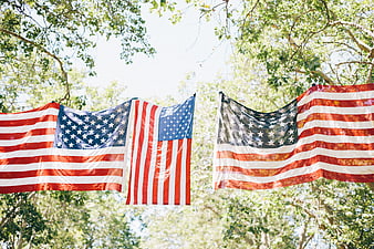 American flags hanging in trees against bright sky