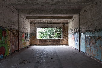 Abandoned Concrete Room with Graffiti and Overgrown Window