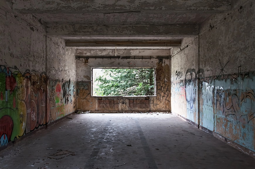 Abandoned Concrete Room with Graffiti and Overgrown Window