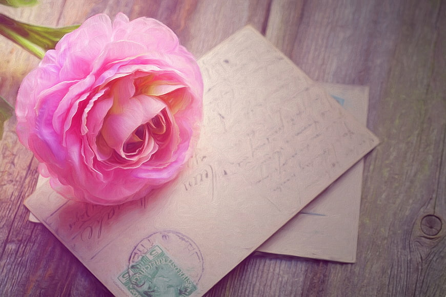 Vintage Pink Peony on Old Handwritten Letter